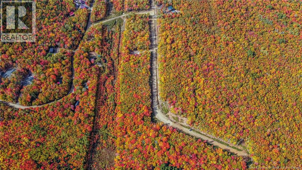 Lot Skiers Lane Property Photo 7