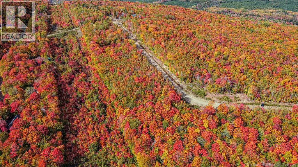 Lot Skiers Lane Property Photo 11