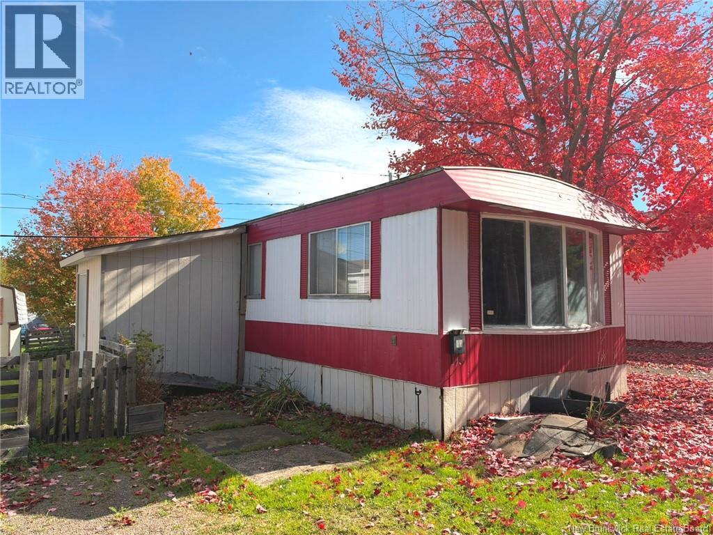 41 Rocket Avenue