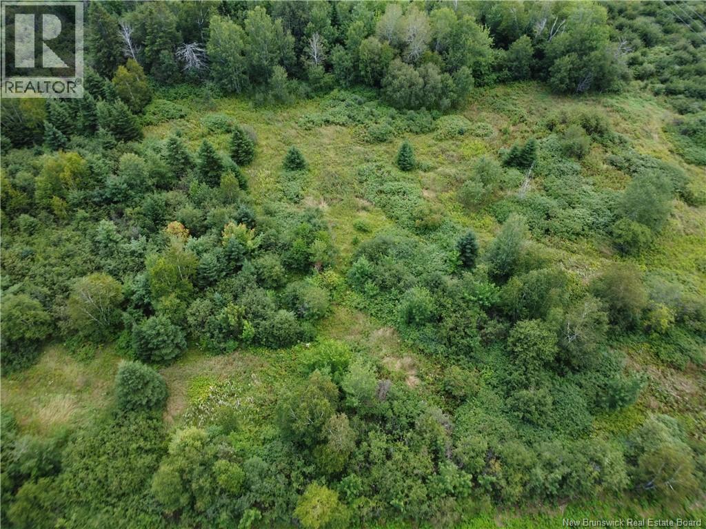 Lot Jean-louis Property Photo 6