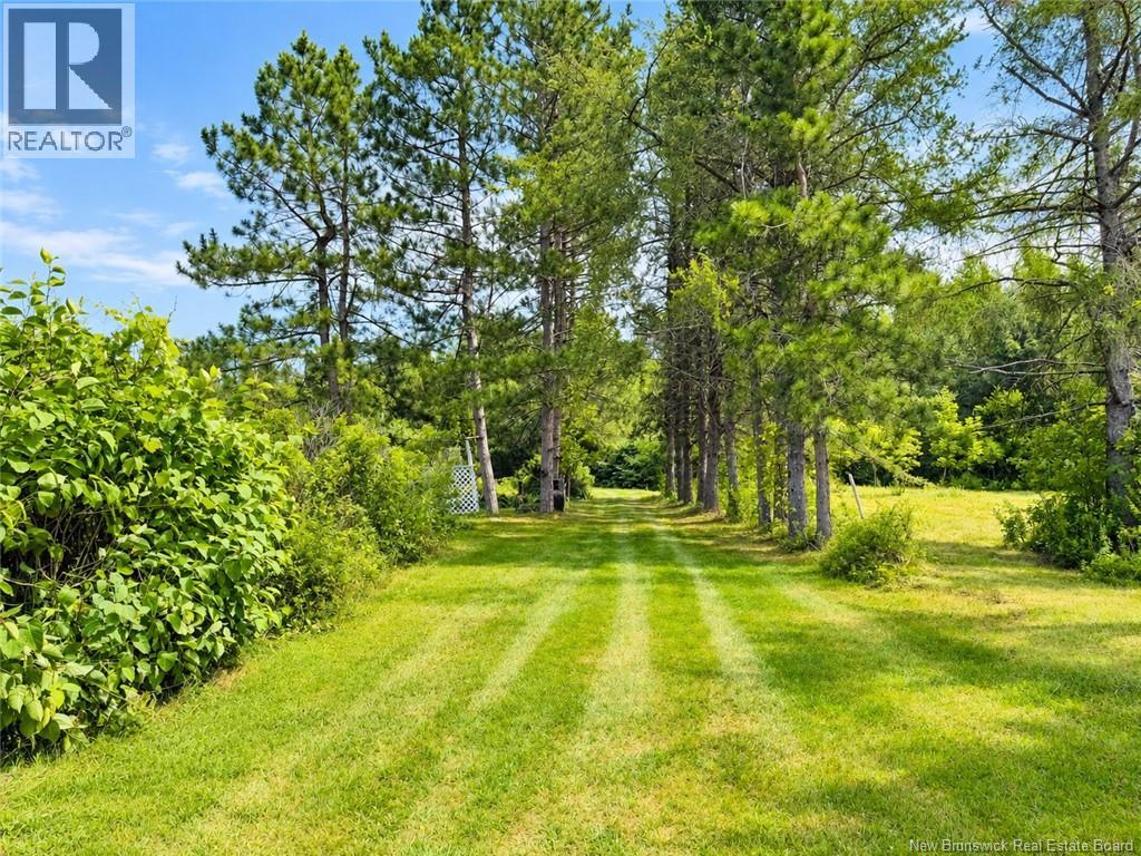 21 Horton Creek Road Property Photo 26