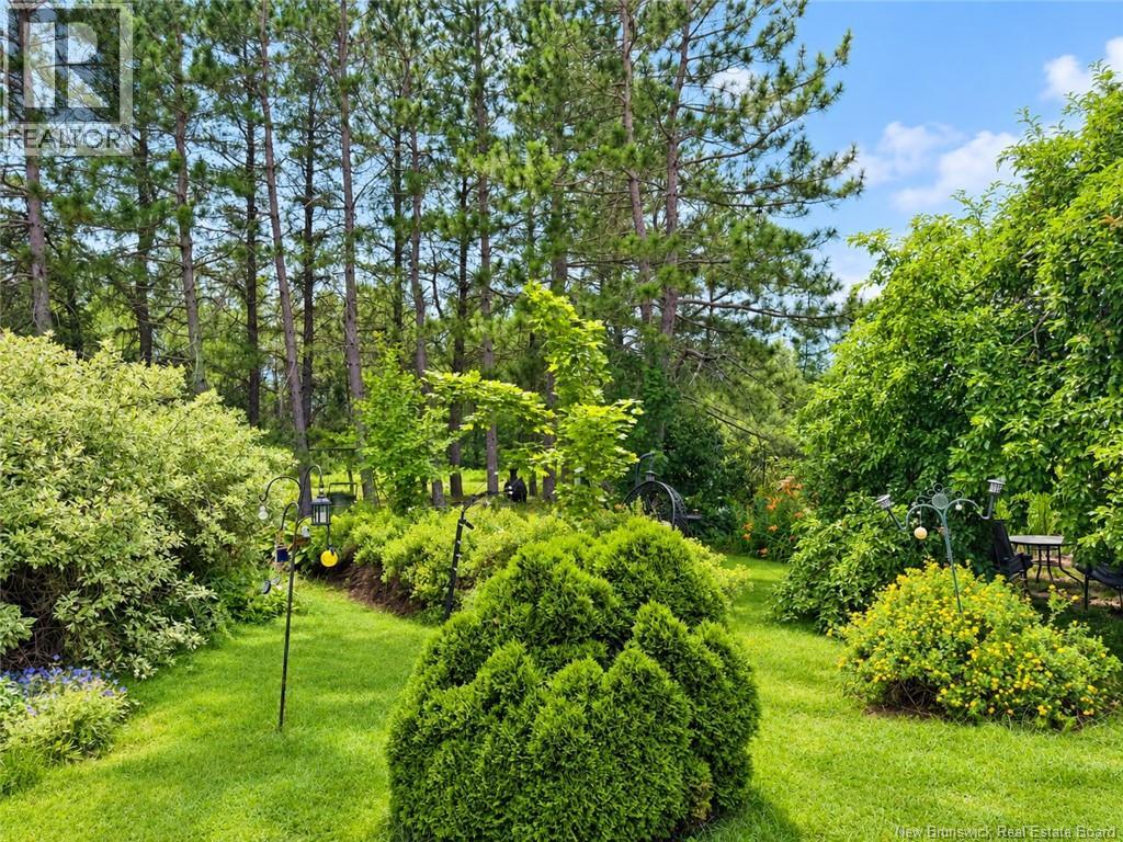 21 Horton Creek Road Property Photo 28