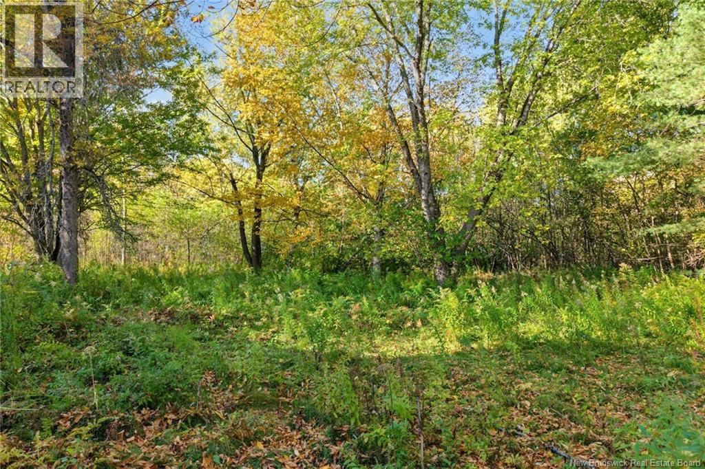 238 Bourque Lane Property Photo 44