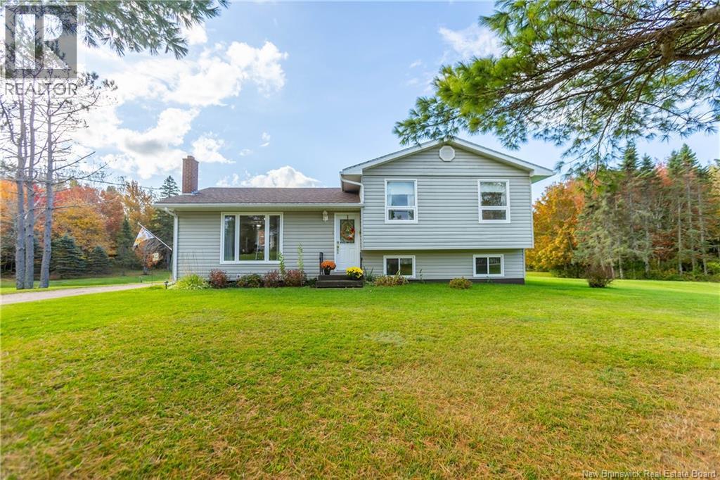 166 Mount View Road Property Photo 4