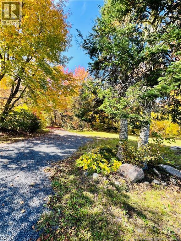 60 Mill Road Left Branch Property Photo 44