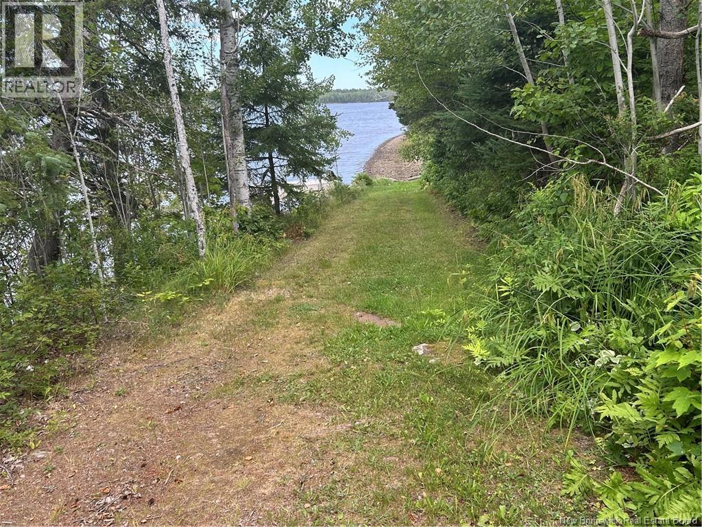 31.7 Acres Straight Brook Road Property Photo 5