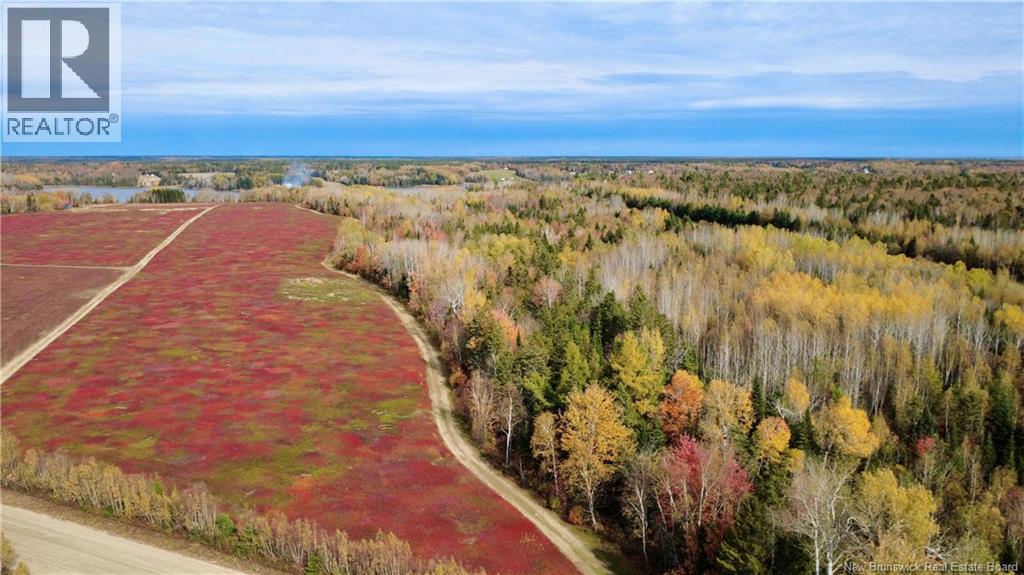31.7 Acres Straight Brook Road Property Photo 7