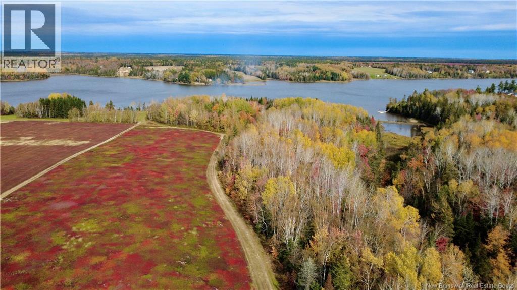 31.7 Acres Straight Brook Road Property Photo 9