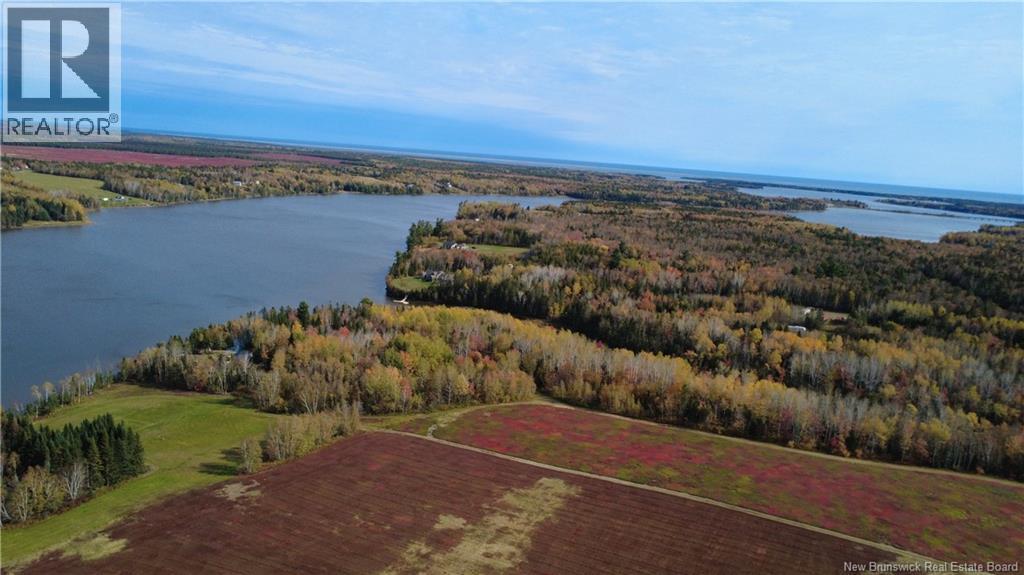 31.7 Acres Straight Brook Road Property Photo 19