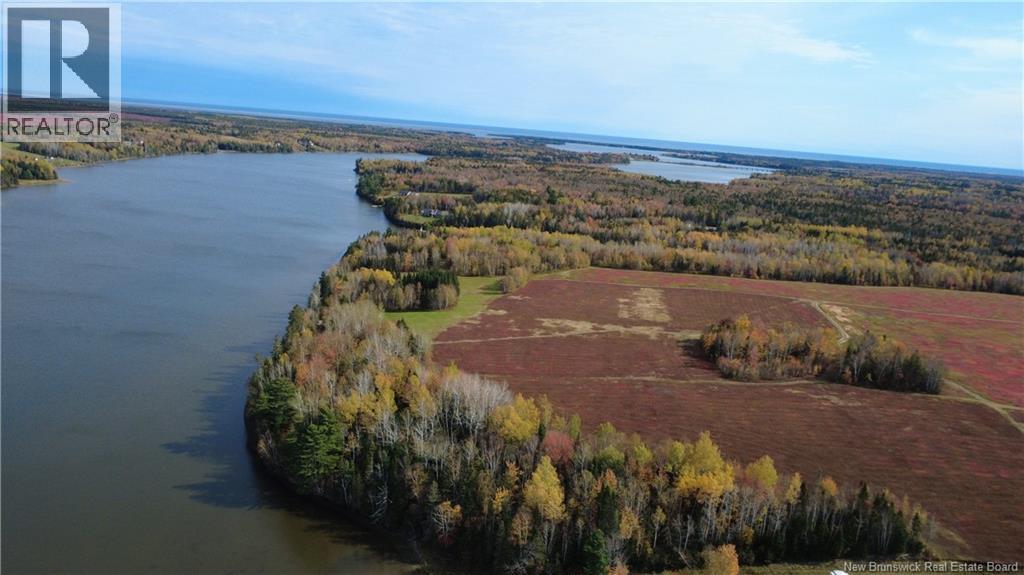 31.7 Acres Straight Brook Road Property Photo 20