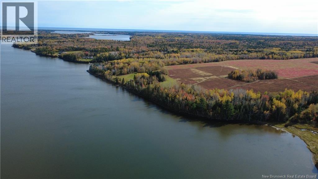 31.7 Acres Straight Brook Road Property Photo 21
