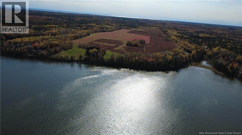 31.7 Acres Straight Brook Road Property Photo 22