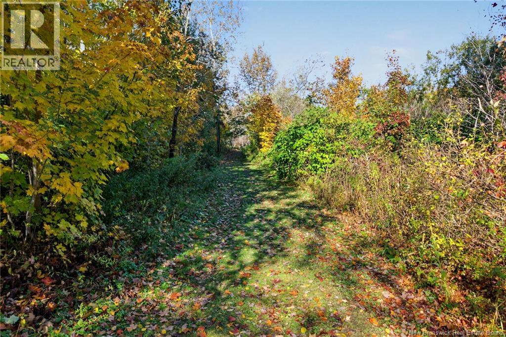 25 Route 620 Property Photo 42