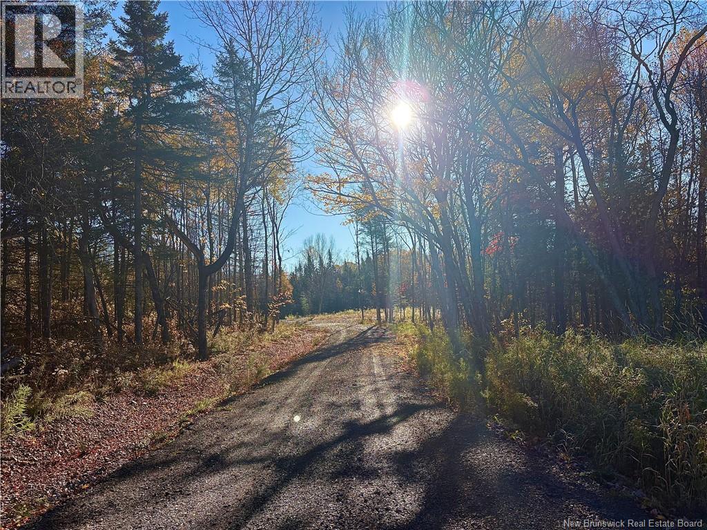 322 Route 617 Property Photo 11