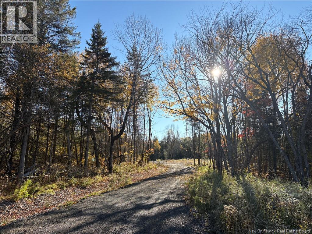 322 Route 617 Property Photo 12