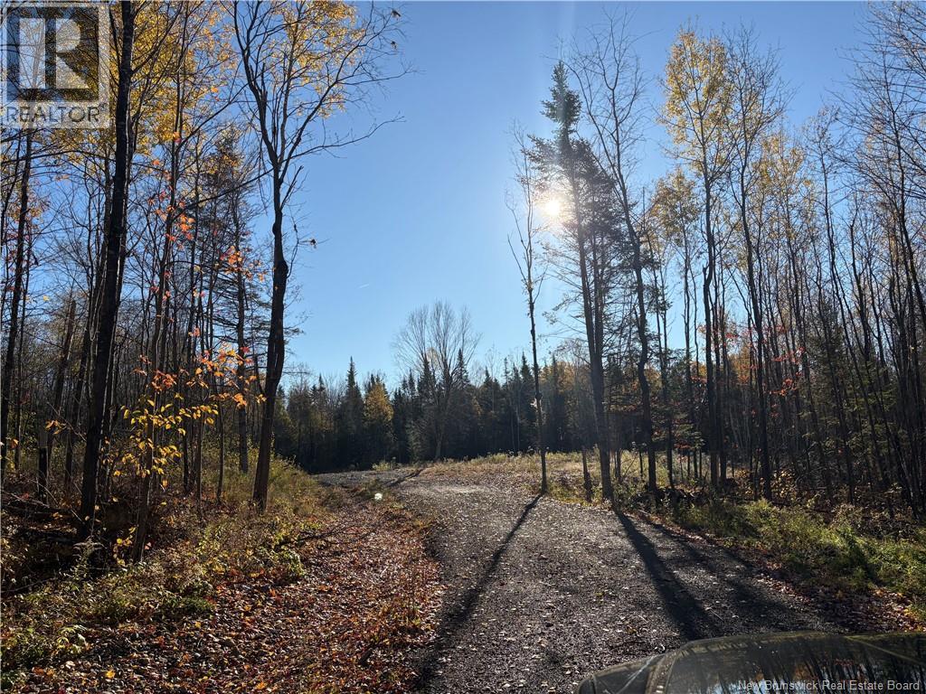 322 Route 617 Property Photo 14