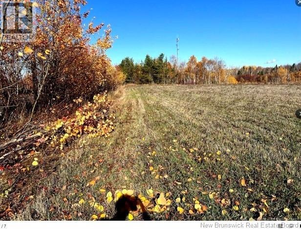 3 Acres Ch Eustache Hache Property Photo 2