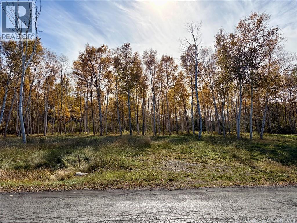 Vacant Land Goulette Point Road Property Photo 1