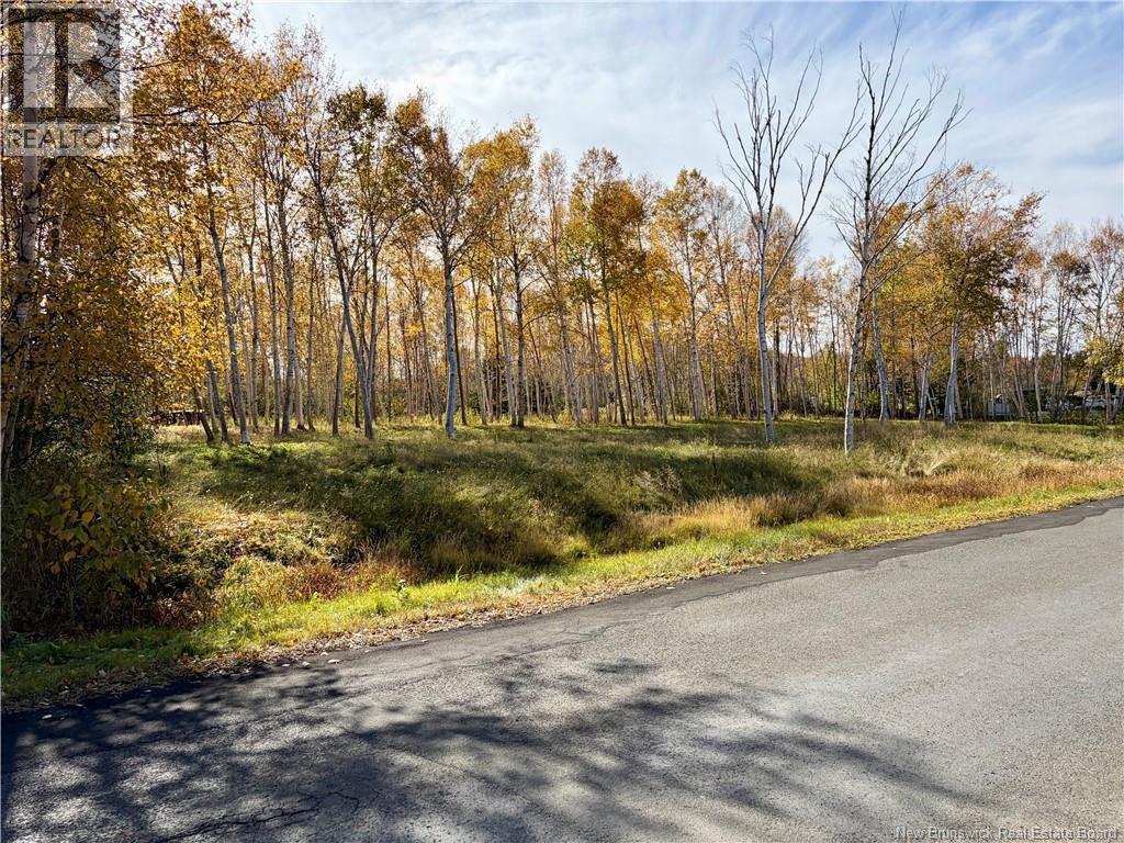 Vacant Land Goulette Point Road Property Photo 2