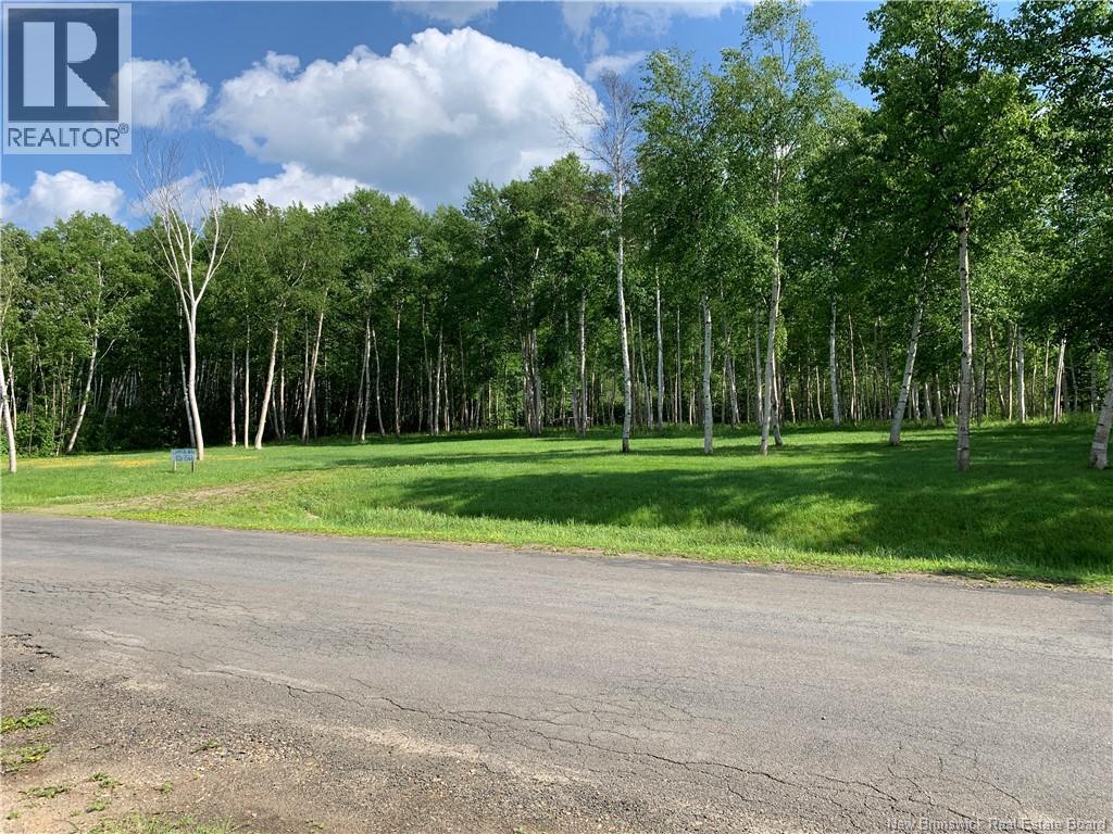 Vacant Land Goulette Point Road Property Photo 3