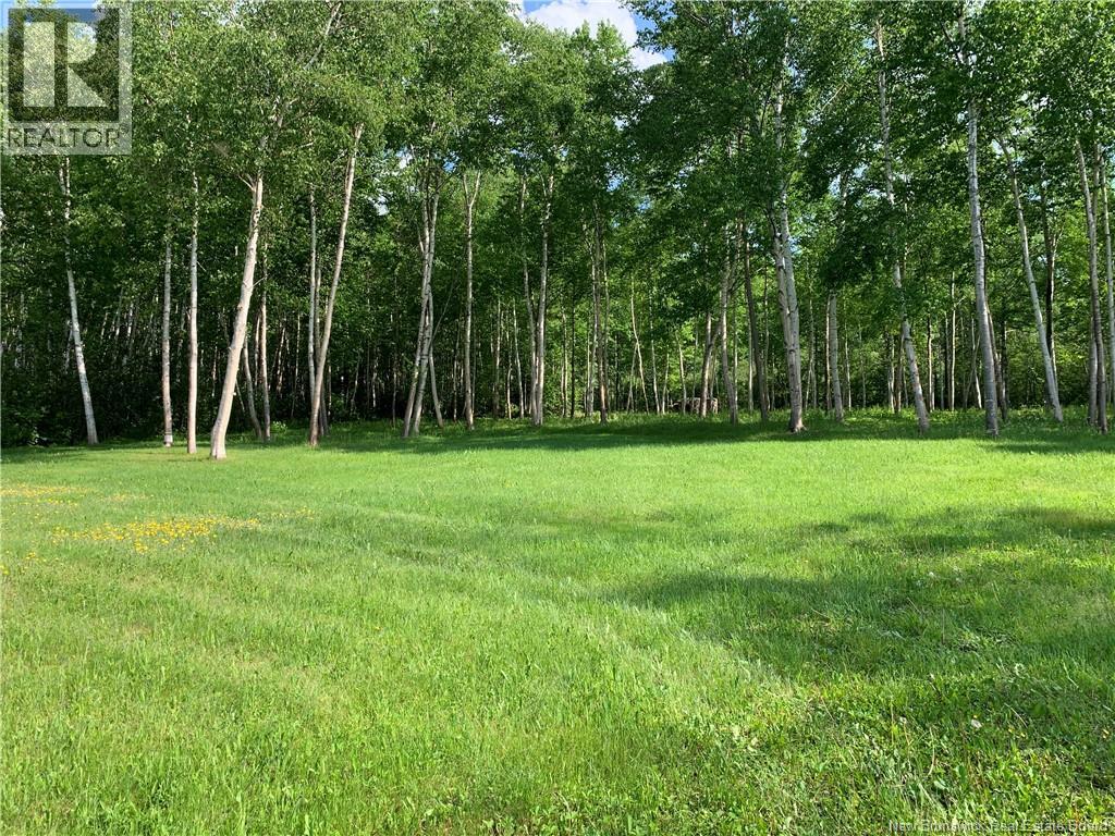 Vacant Land Goulette Point Road Property Photo 5