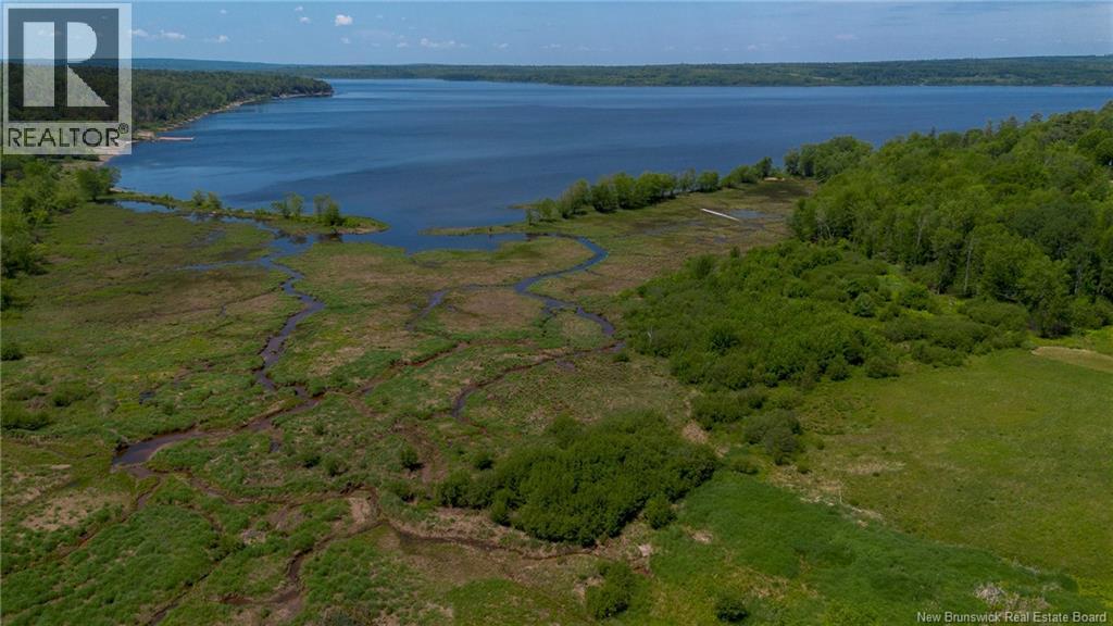 2445 Route 705 Property Photo 23