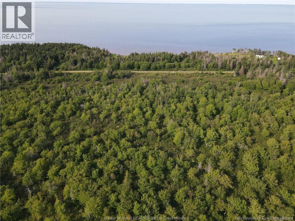 Lot 23-02 Route 955 Property Photo 4