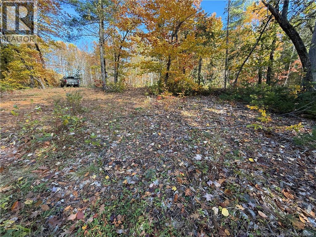 74 Barnes Point Road Property Photo 15