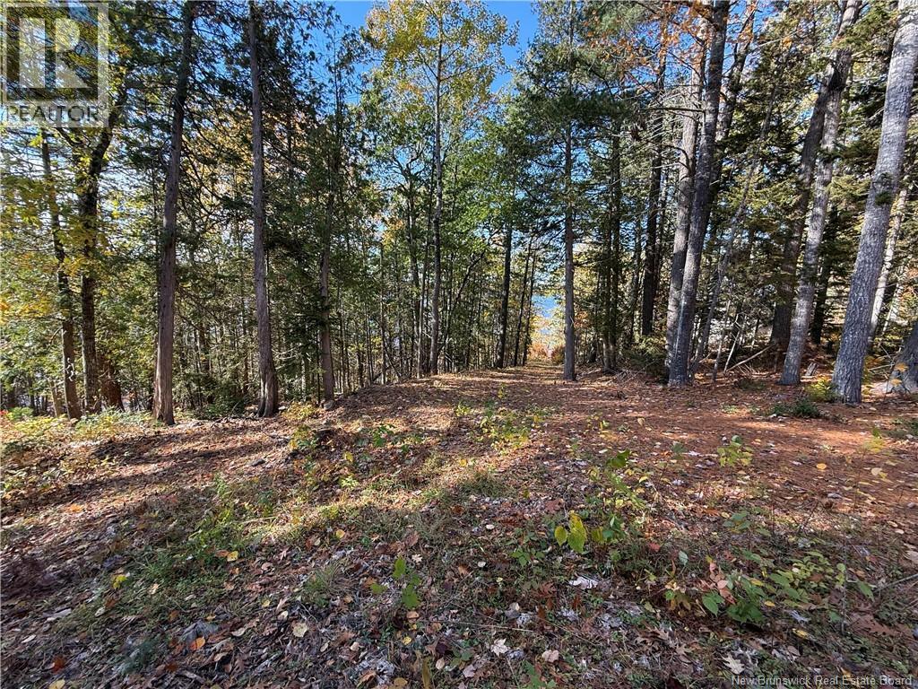74 Barnes Point Road Property Photo 16
