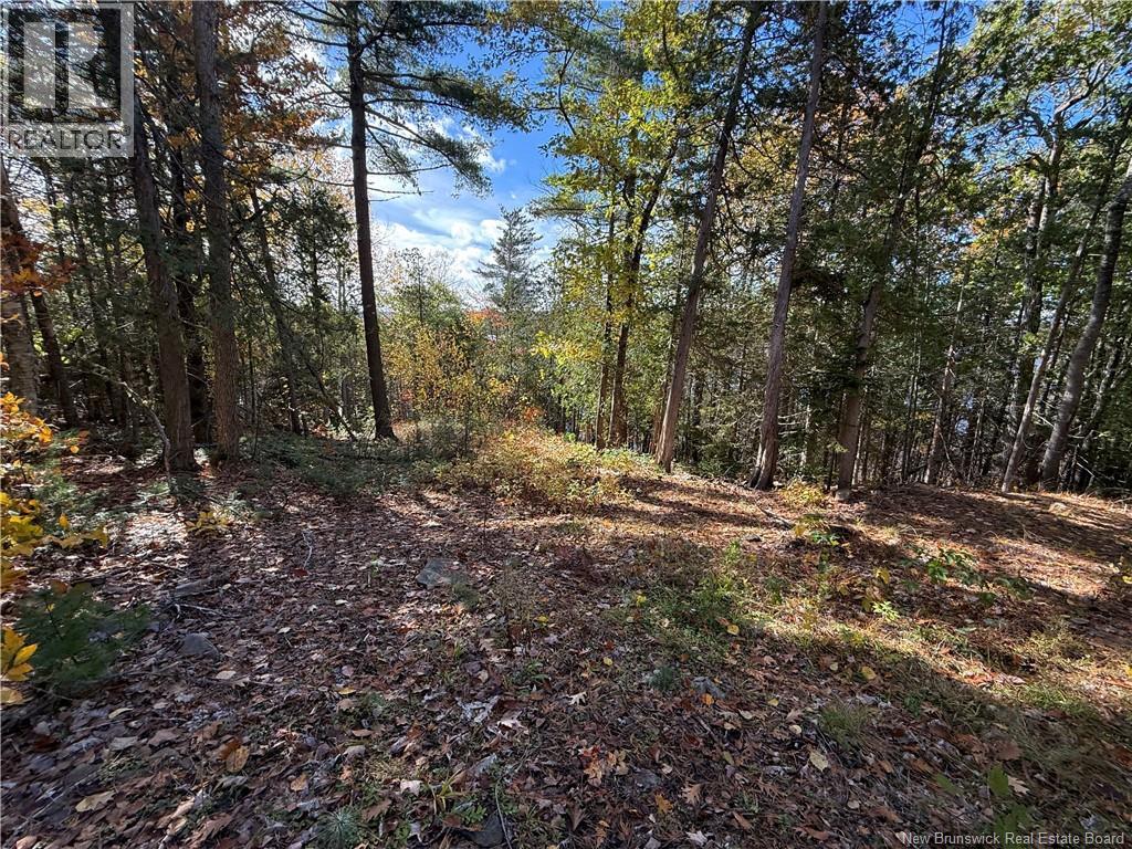 74 Barnes Point Road Property Photo 24