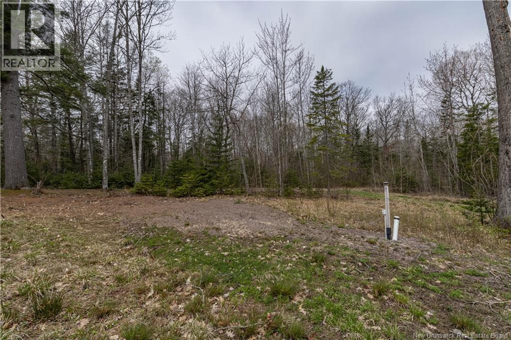 10 Mcnamara Lane Property Photo 34