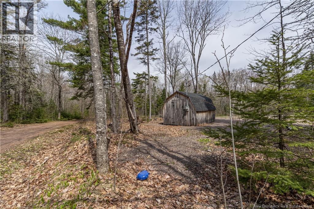 10 Mcnamara Lane Property Photo 39