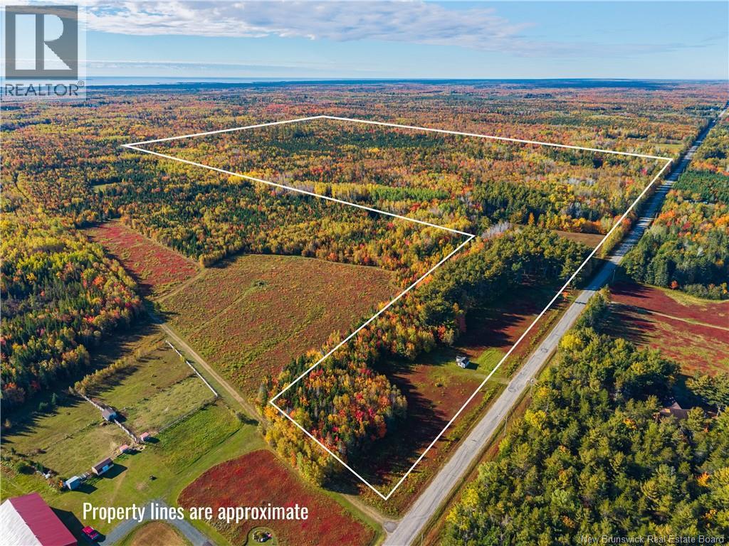 304 Price Settlement Road Property Photo 2