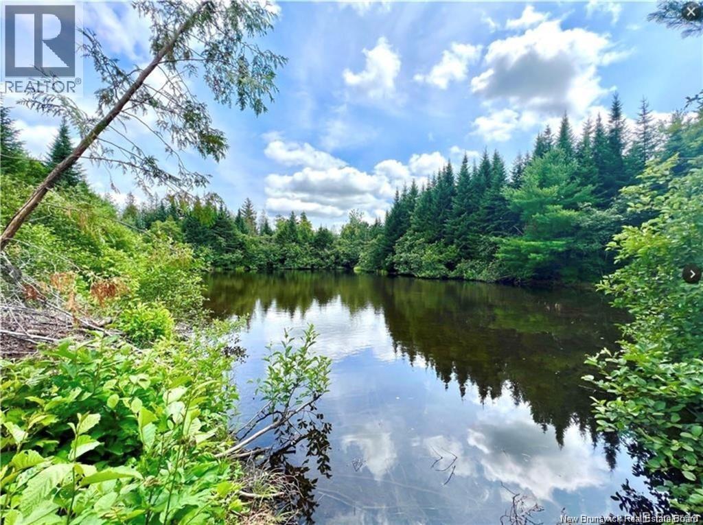1708 Route 107 Property Photo 9