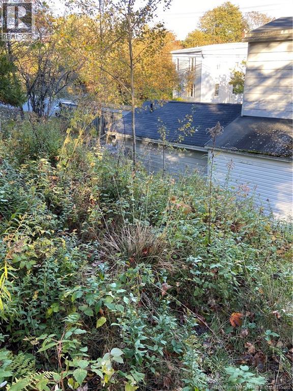 11 Rope Walk Road Property Photo 39