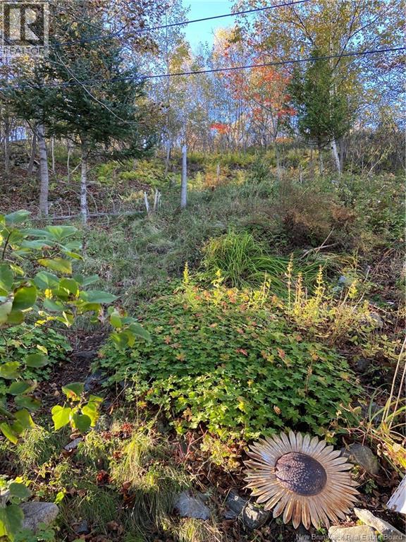 11 Rope Walk Road Property Photo 41