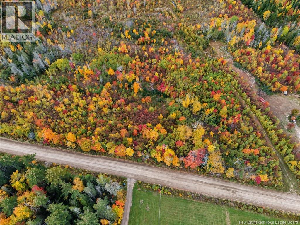 Lot 5 Tay Falls Road Property Photo 4