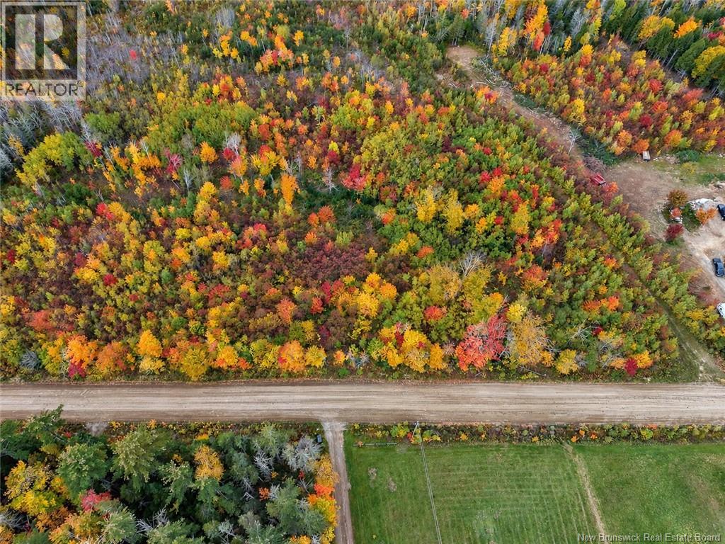 Lot 7 Tay Falls Road Property Photo 3
