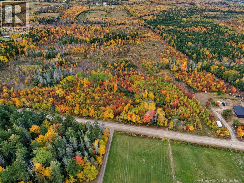 Lot 7 Tay Falls Road Property Photo 5