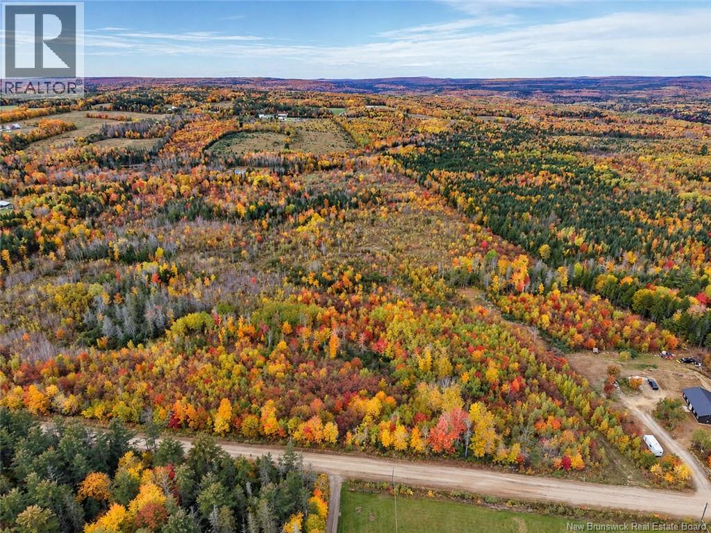 Lot 7 Tay Falls Road Property Photo 6