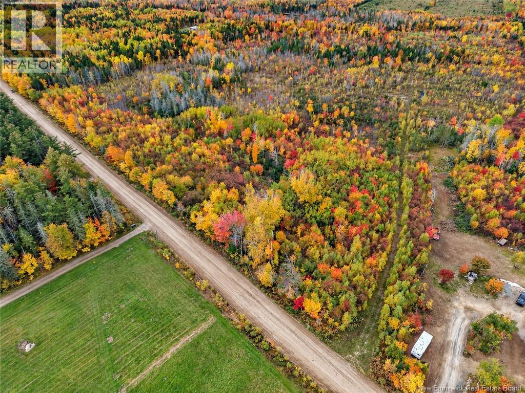 Lot 7 Tay Falls Road Property Photo 7