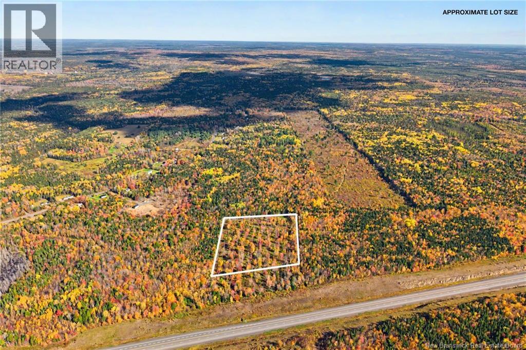 594 Route 628 Property Photo 49