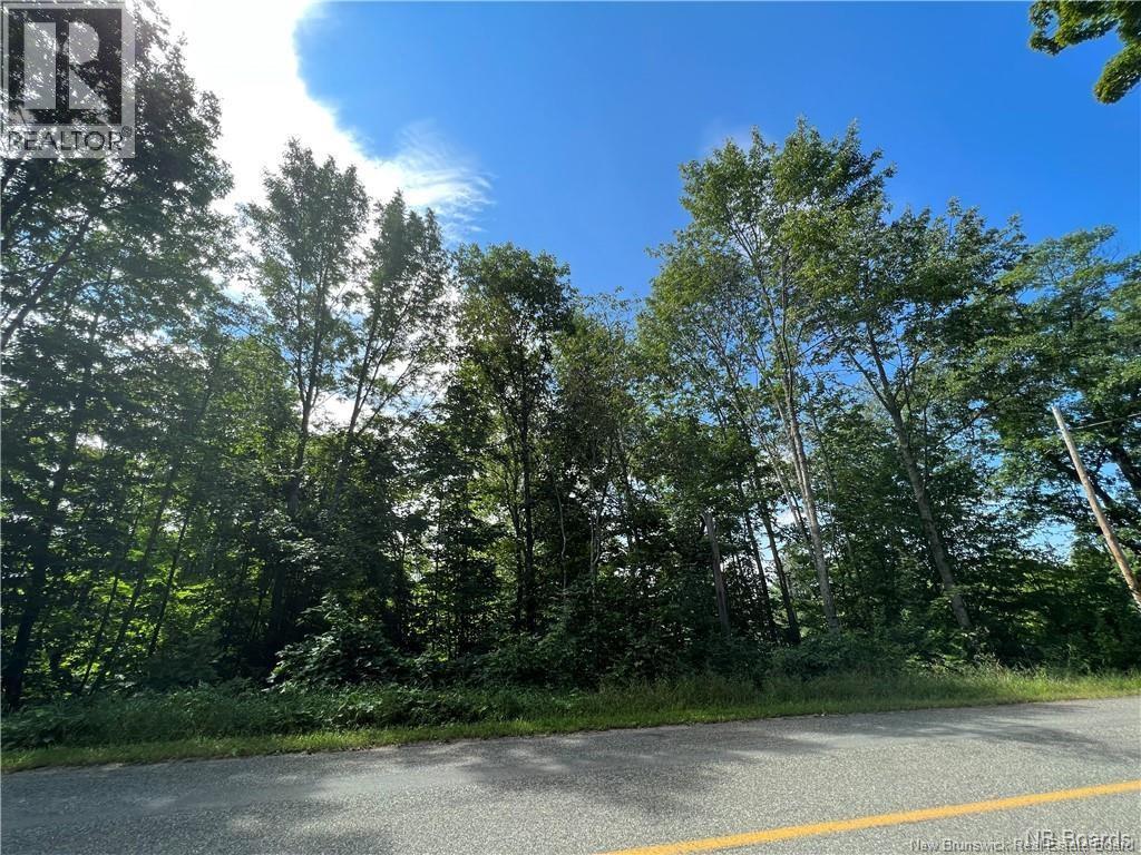 Vacant Lot 1 Route 105 Property Photo 2