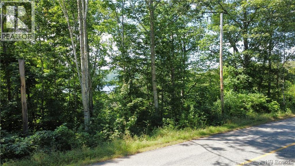 Vacant Lot 1 Route 105 Property Photo 3