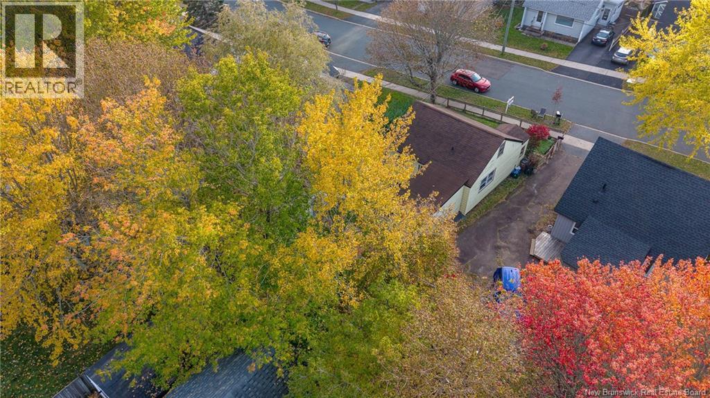 34 Currie Avenue Property Photo 31