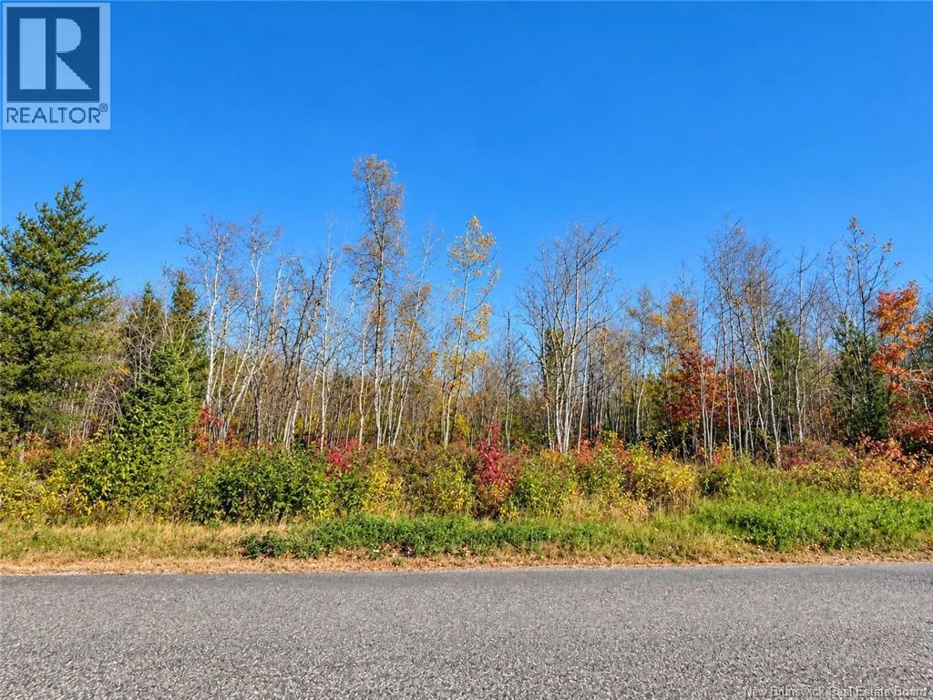 / Rue Omer Property Photo 1