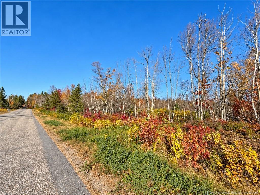 / Rue Omer Property Photo 2