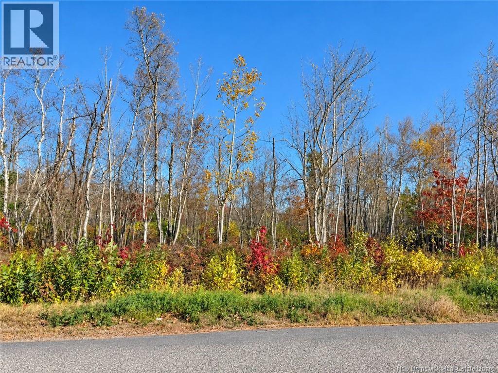 / Rue Omer Property Photo 3