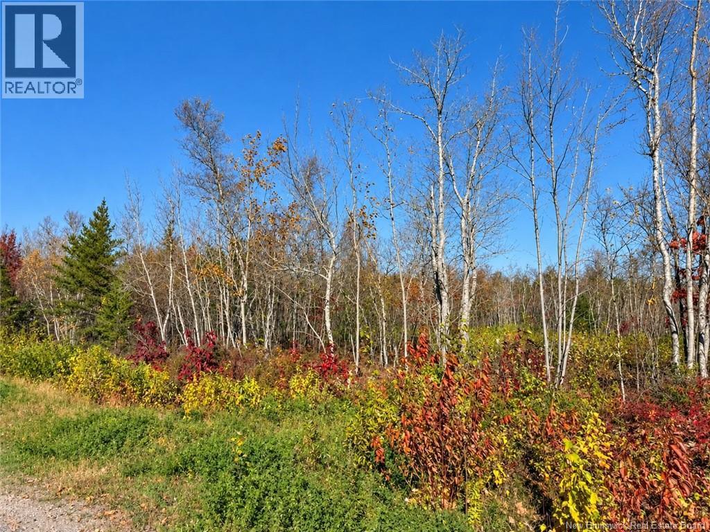 / Rue Omer Property Photo 4
