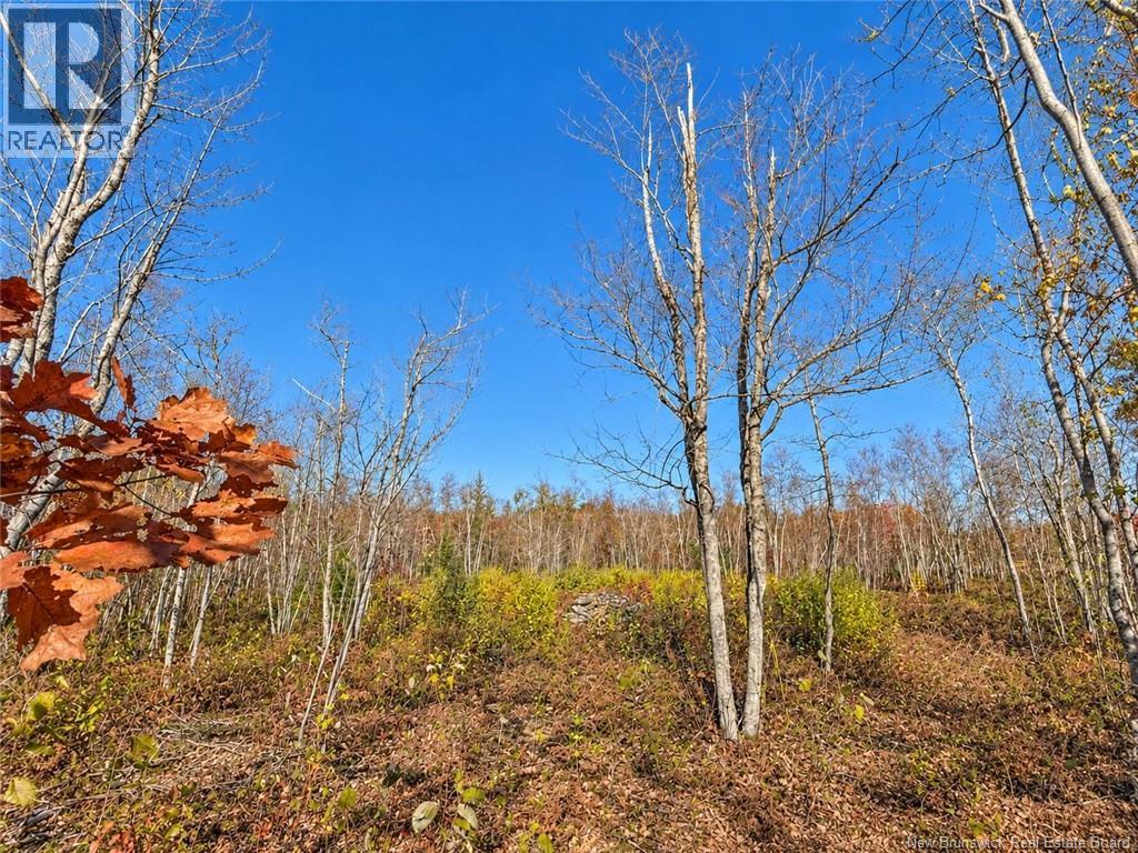 / Rue Omer Property Photo 5